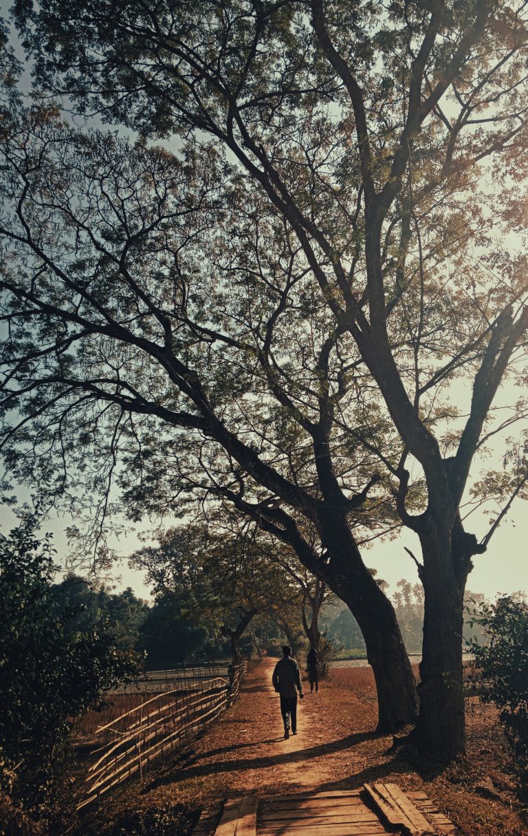 A tree signature with nature