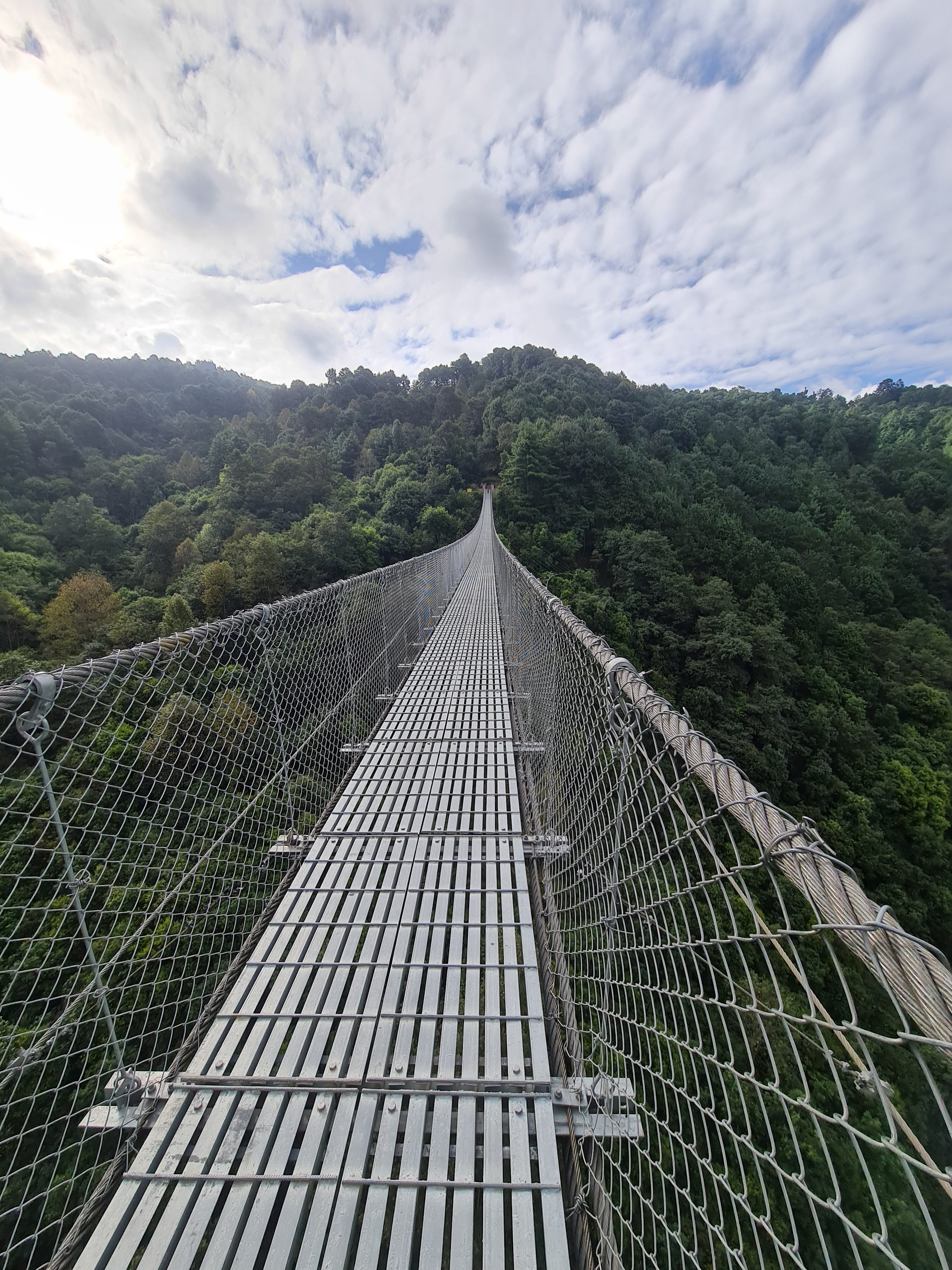 Longest suspension bridge traversing a forested area.