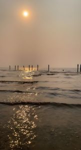 A tranquil seascape during sunset with the sun partially obscured by haze, casting a soft golden glow over the water. Old wooden posts stand scattered in the sea, and the gentle waves shimmer with reflections of sunlight. “Lago Ypacarai” in paraguay.
