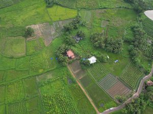 Aerial view of a farmland with a farmhouse.