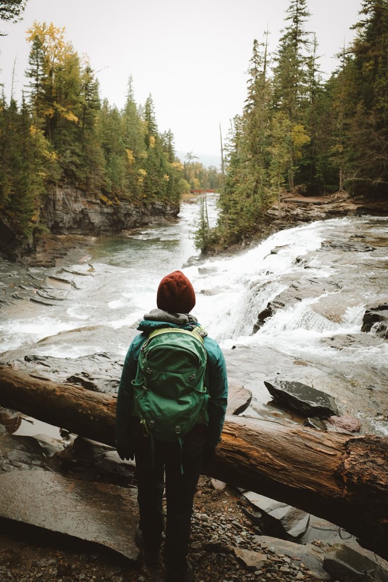 Person standing in front of a large log looking out over a river with a small waterfall surrounded by forest trees.