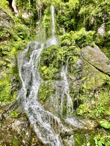 A waterfall near to the Batu Cave village, Malaysia 