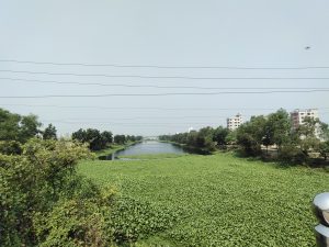 A picture of Diabari lake in Dhaka.