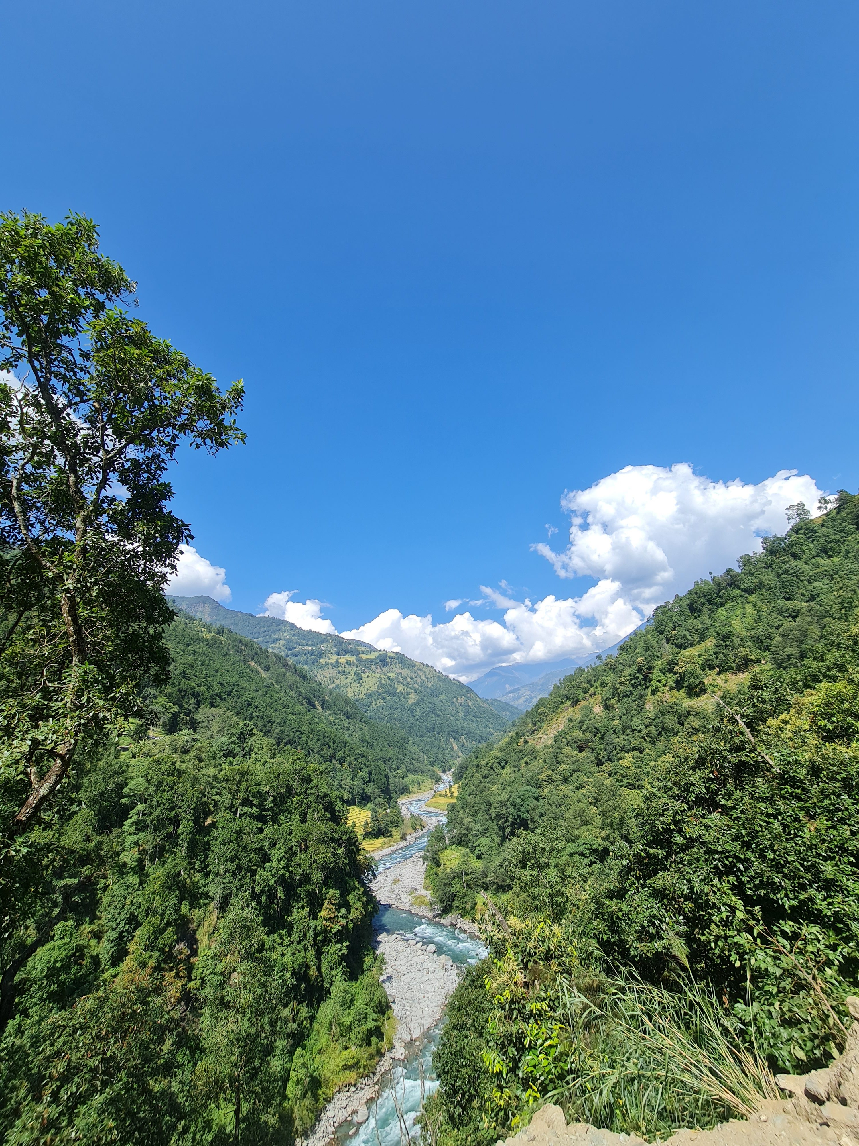 A lengthy watercourse river by wooded areas on both banks.