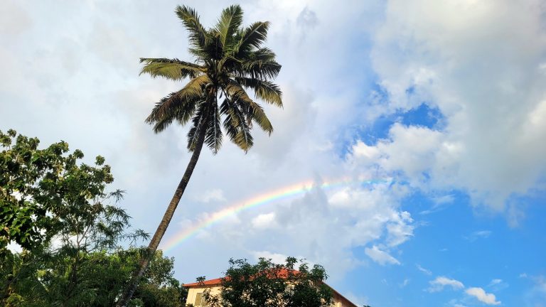 A rainbow in the blue sky after a storm. #WPPhotoFestival