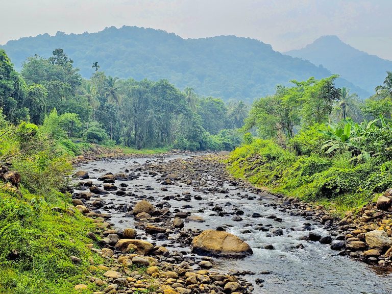 A tributary of Chaliyar river. Nilambur, Malappuram, Kerala. There are mountains in the distance, the river is flowing through the middle with big boulders in it. On the left and right there is a bright green jungle.