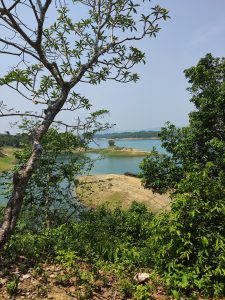 A sunny beautiful day at the top of a small island of Kaptai Lake, Kaptai Upazila, Rangamati District, Chittagong Division, Bangladesh. 