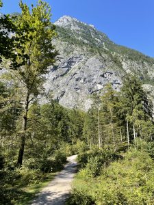 Walking on a path towards the mountain “Kleiner Göll” in austria, left and right there are many trees and the path is made of gravel.
