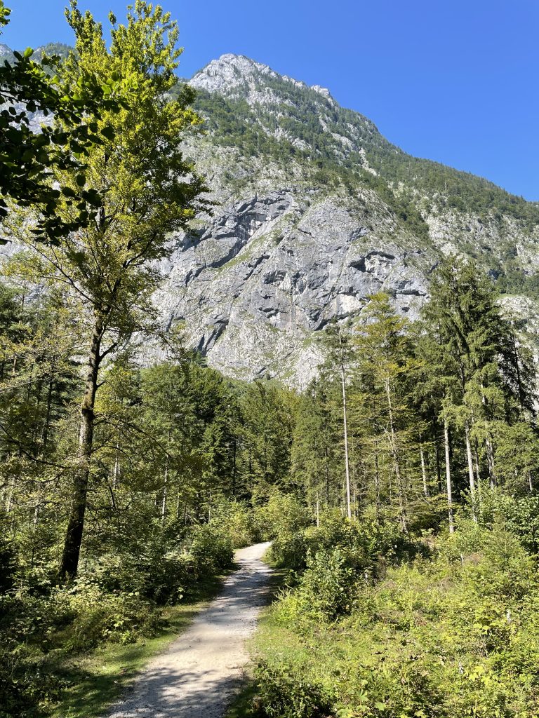 Walking on a path towards the mountain “Kleiner G?ll” in austria, left and right there are many trees and the path is made of gravel.