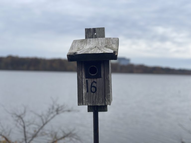 Bird house