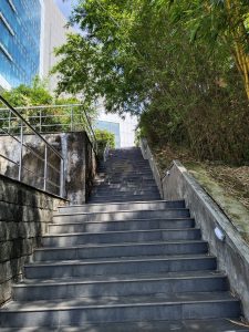 Stair passage to a tower, bamboo trees in the side 