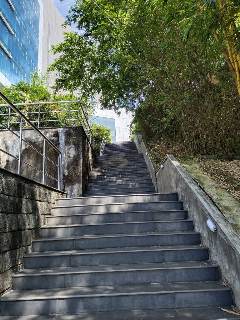 Stair passage to a tower, bamboo trees in the side