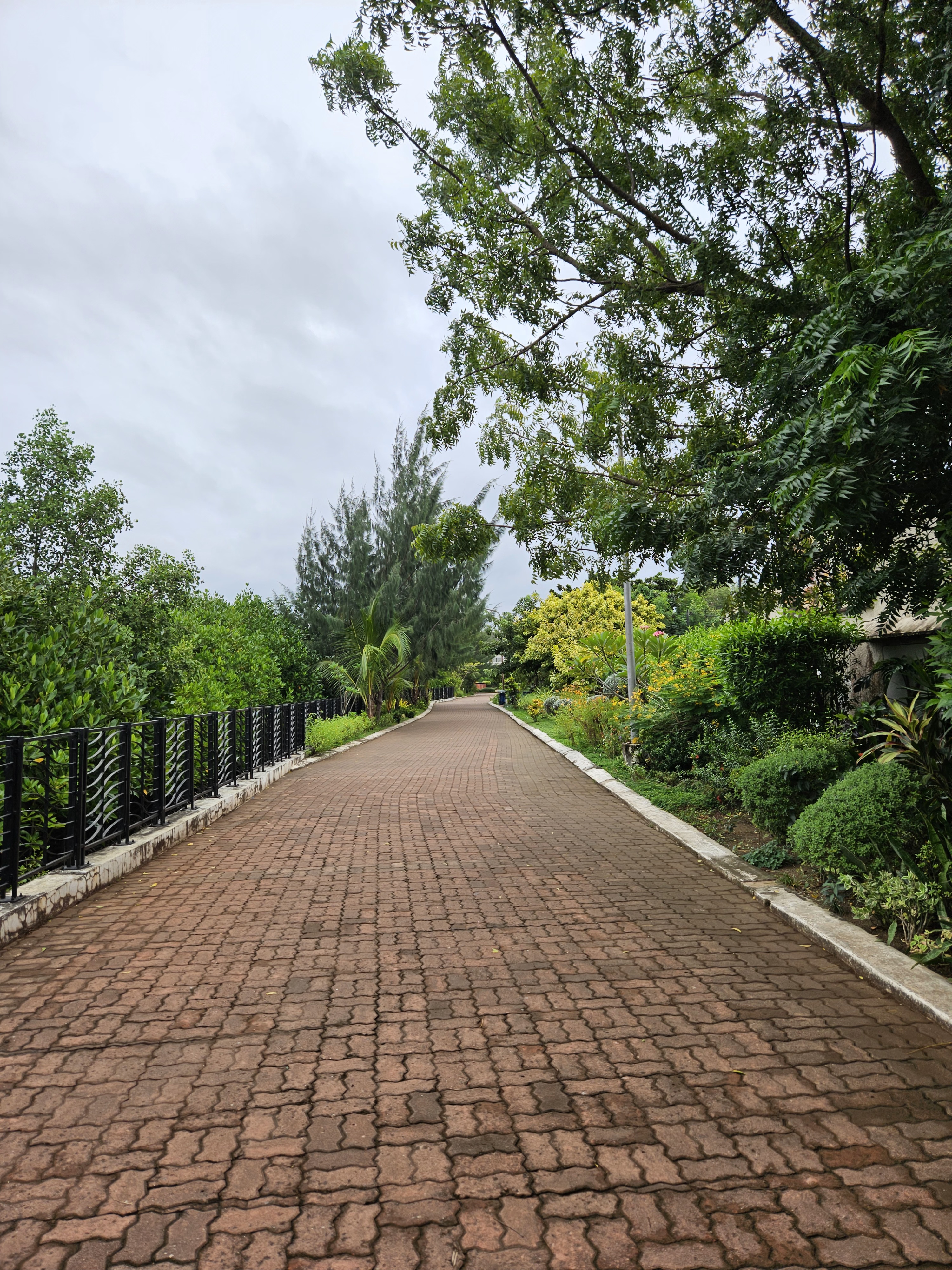 Esplanade 1 located in the heart of Iloilo City, Philippines is where nature lover and city life meets. This place is rich in lucious green vegetation where you can relax and also a long walk way for your fitness goals.