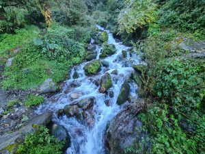 Stunning waterfall surrounded by a dense forest