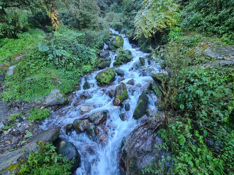 Stunning waterfall surrounded by a dense forest