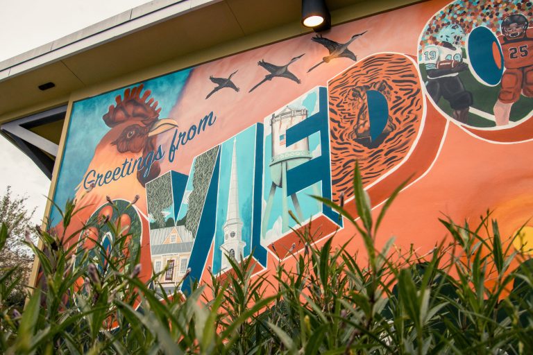 City mural that says “Greetings from Oviedo”, shot from a low angle and partially obscured by a potted plant.