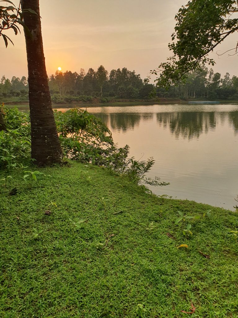 A beautiful sun setting moment green edge of the pond at Nawabganj Upazila, Dinajpur District, Rangpur Division, Bangladesh