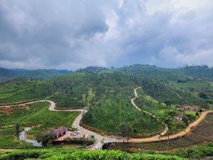 Vagamon Bald Hills with tea plants on a cloudy day. 