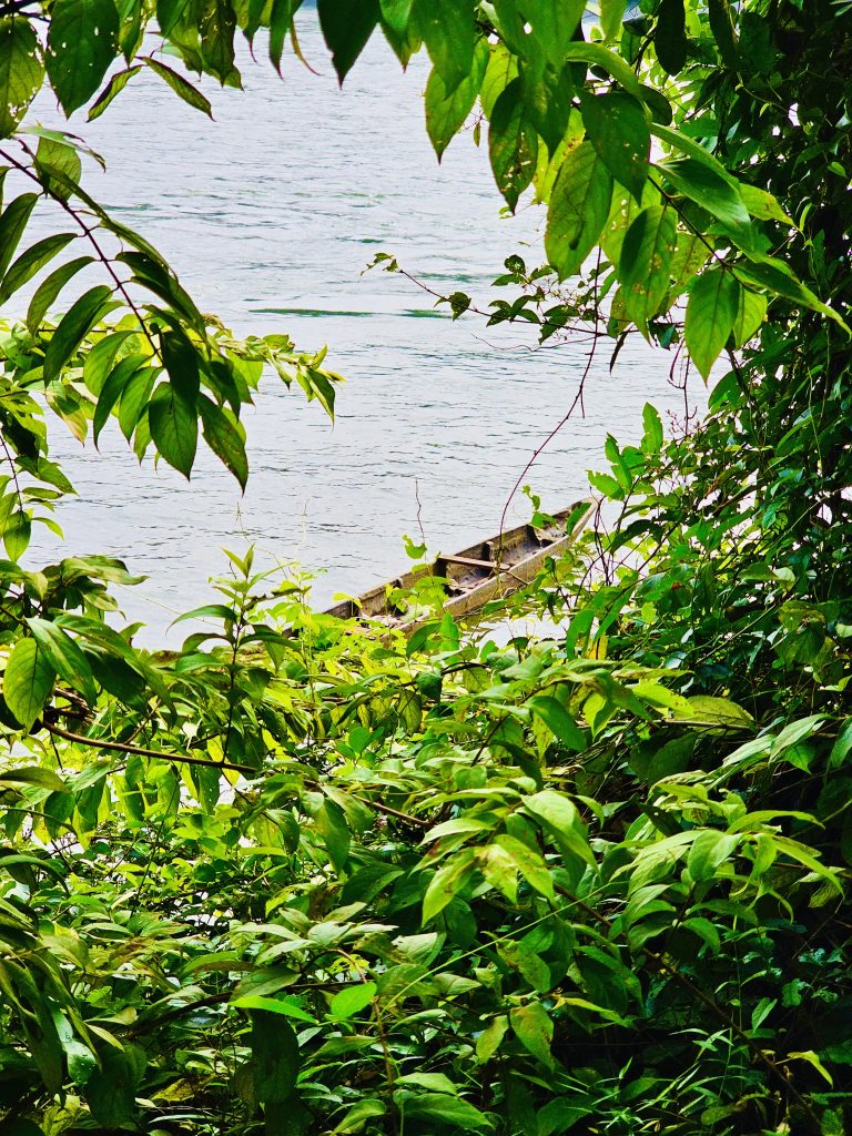 A traditional wooden fishing boat visible through bushes.