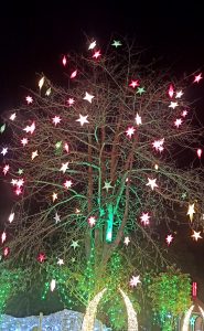 Christmas stars hanging on a tree.