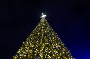 Huge christmas tree at night