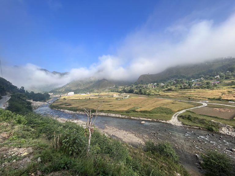 Mesmerizing Paddy Field during Nepalese Festival in Syangja!