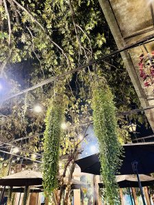 Hanging flowers in a restaurant of Kathmandu.