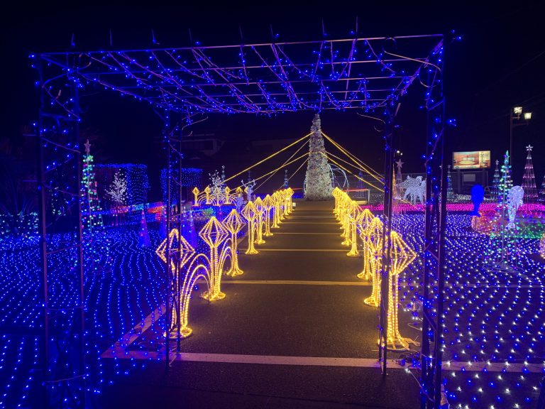 Shirako Town, Chiba Prefecture Christmas Illumination ４