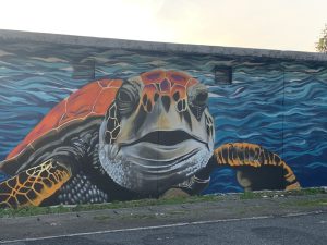 千葉県御宿町　漁港の壁に巨大なウミガメ　/　Giant sea turtle on the wall of a fishing port in Onjuku Town, Chiba Prefecture