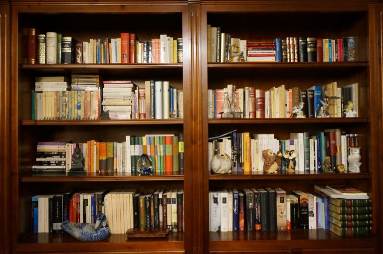 Wooden bookcase full of books