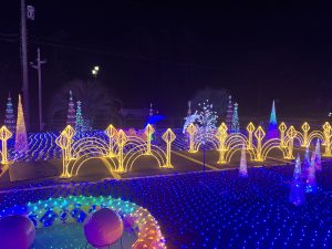 Shirako Town, Chiba Prefecture Christmas Illumination 8