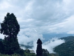 Darjeeling Scenic View