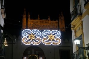 Christmas decorations adorn this part of the Cathedral, captured at night with the use of night vision.