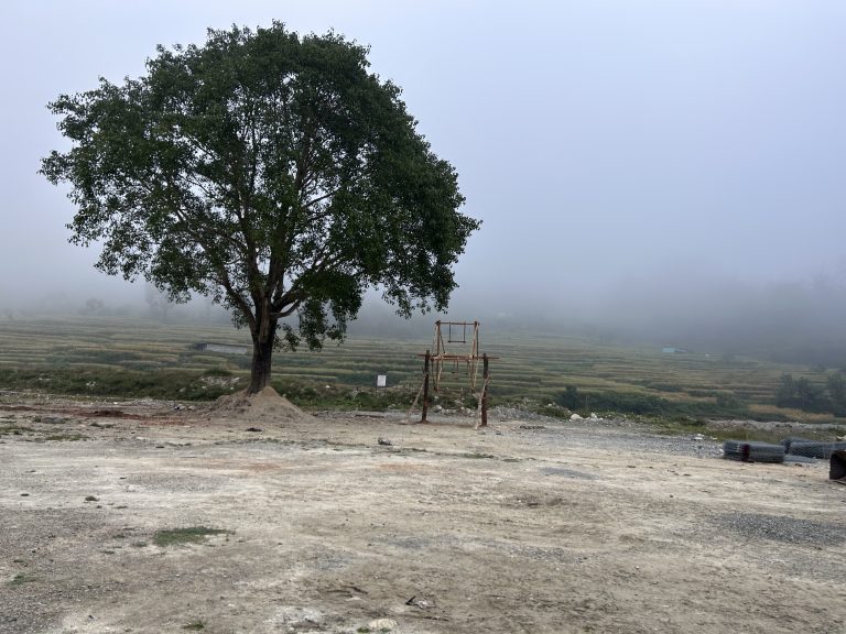 Single tree and Nepalese traditional Swing in syangja, Nepal!