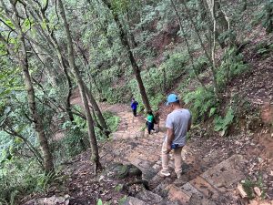 Hikers walking down to Kathmandu from Jamacho Gumba!