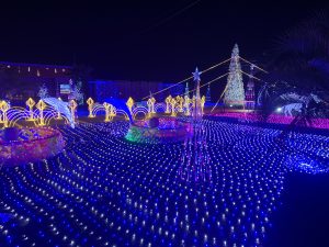 　Shirako Town, Chiba Prefecture Christmas Illumination