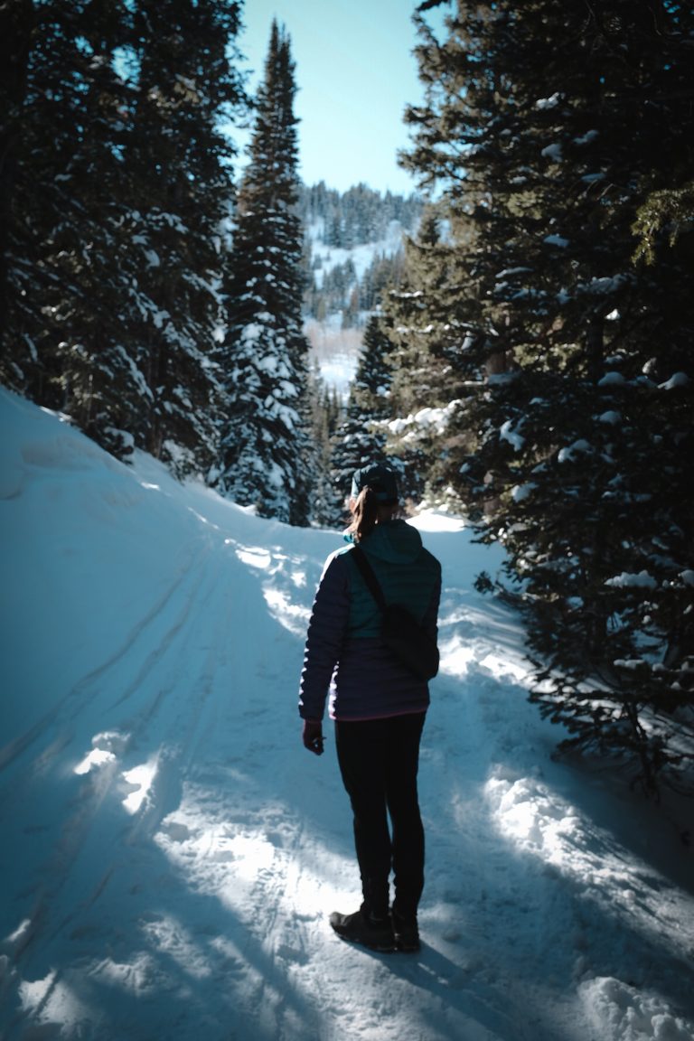 Person standing amongst a snowy forest in a beam of light, looking out at the view.