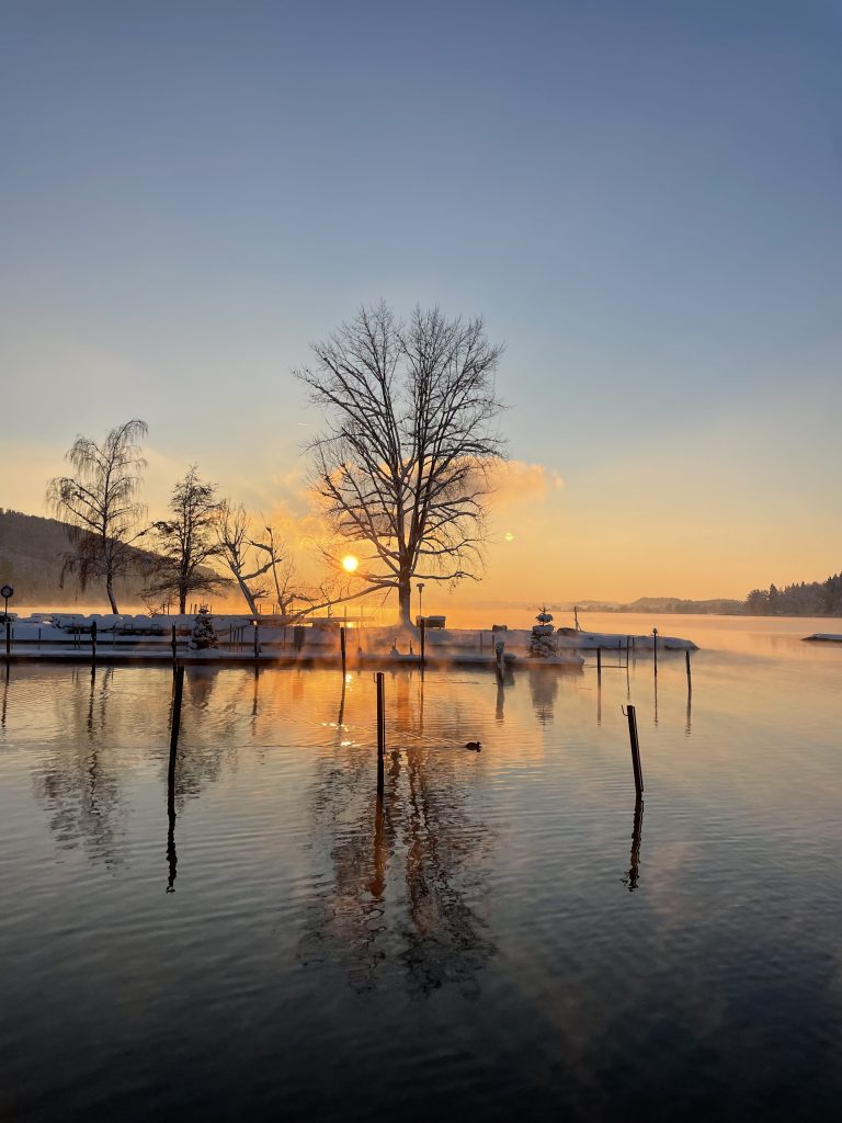 A tranquil lake scene at sunset with a leafless tree silhouetted against the golden sky, mist rising from the water surface.