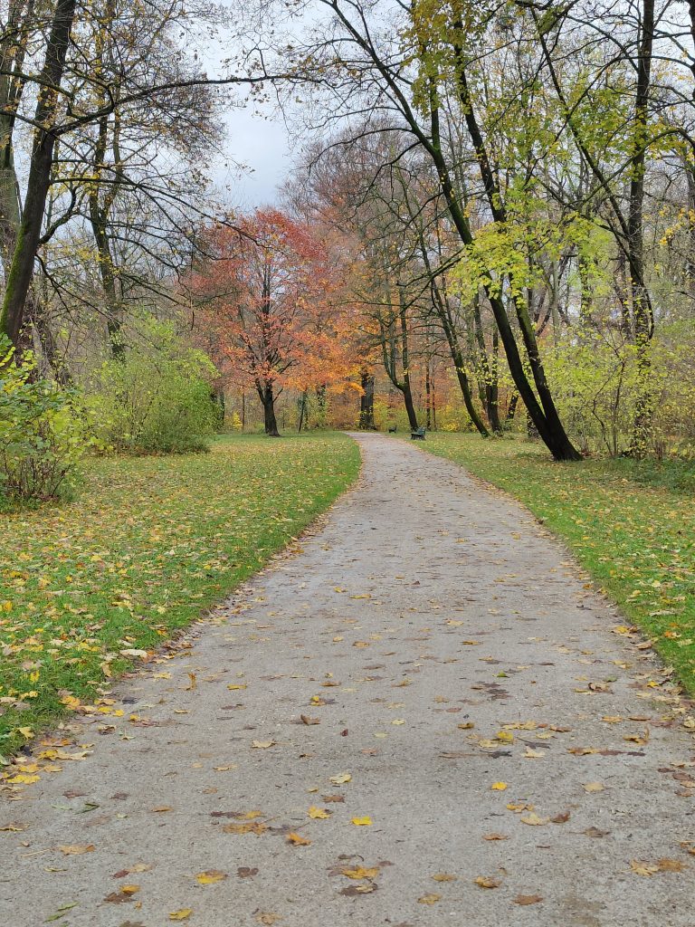 A park path, paved and surrounded by lush greenery, invites visitors to take a leisurely stroll.
English Garden in Munich, Germany