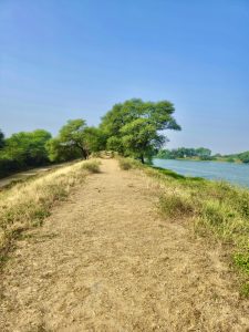 Thol Lake & a village road. From Ahmedabad, Gujarat. 