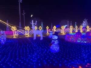 Shirako Town, Chiba Prefecture Christmas Illumination 7