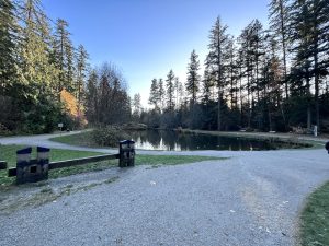 Nice place with beautiful pond in the greenery central Park! Burnaby BC