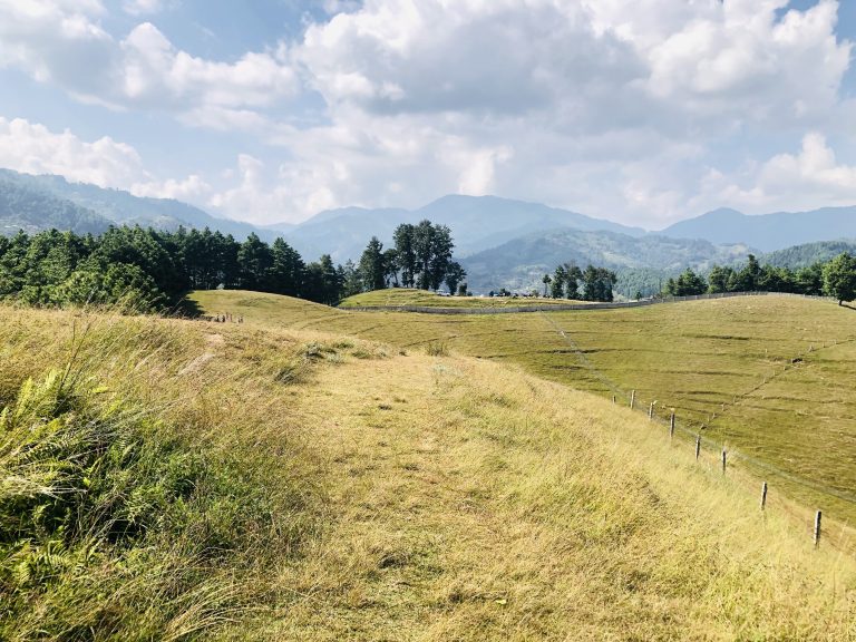 Amazing greenery view at Bhedigoth, Markhu