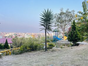 View larger photo: Yucca plant and city view in the background! 