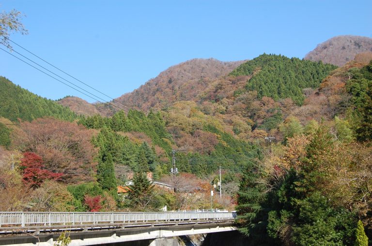 Autumn Leaves by Lake Tanzawa, Kanagawa Prefecture