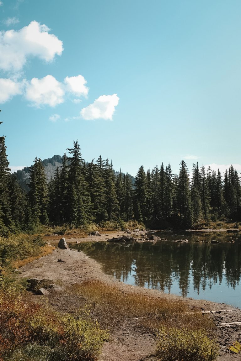 Partial view of a mountain lake with a few clouds scattered above and a reflection of forest trees on the water.