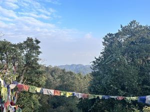 Greenery forest and snowy mountains in the background from Nagarkot View Tower! 