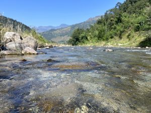 Clear enough to see the rocks on the bottom of River! 