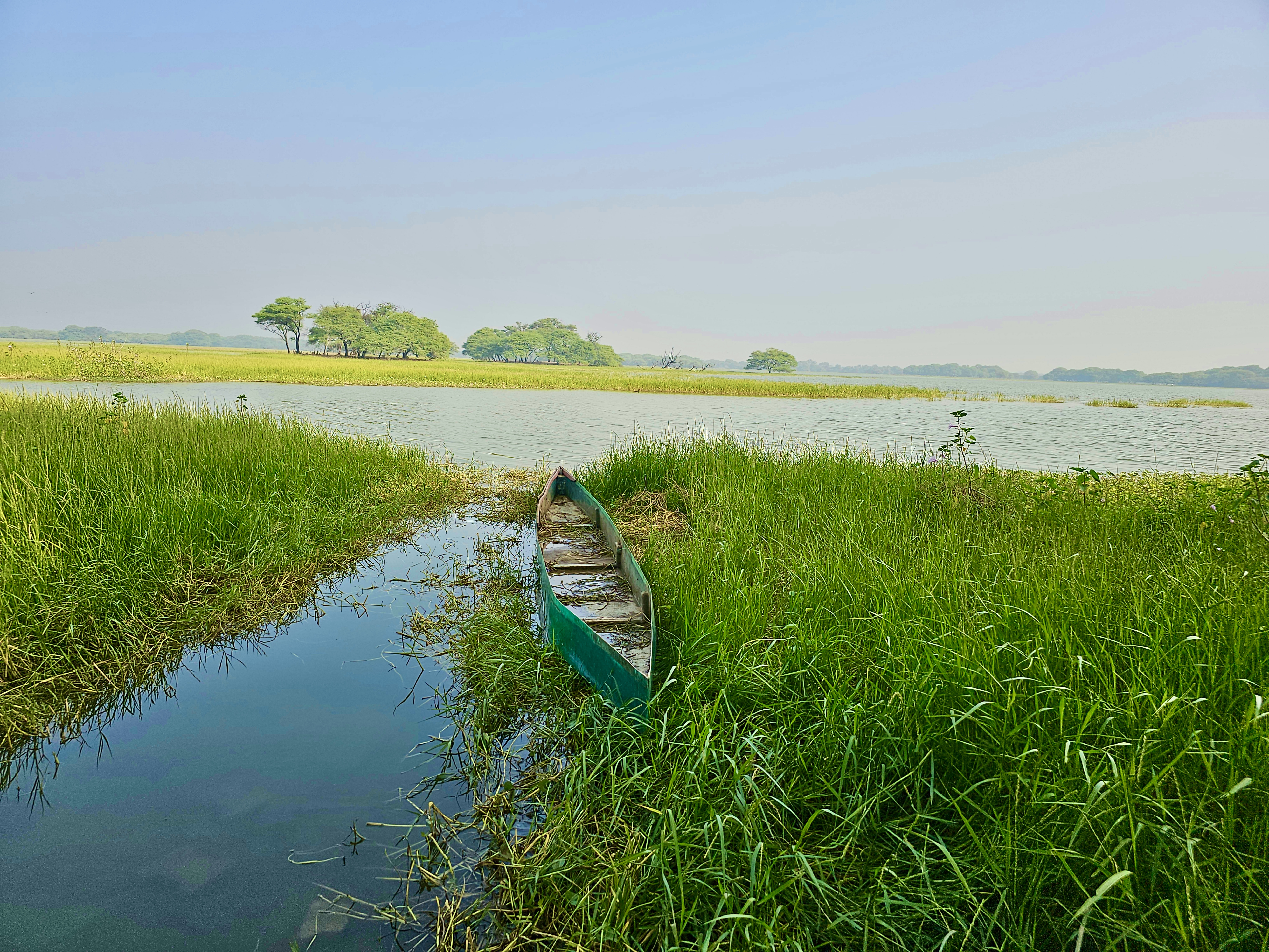 A fishing boat on the banks of Thol lake, Ahmedabad, Gujarat