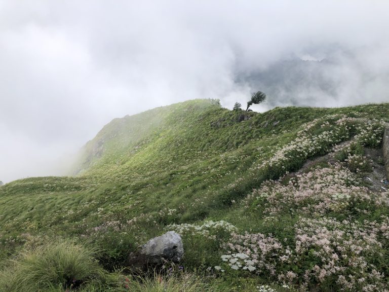 Green meadow at the top of Bethanchok; a place to hike!